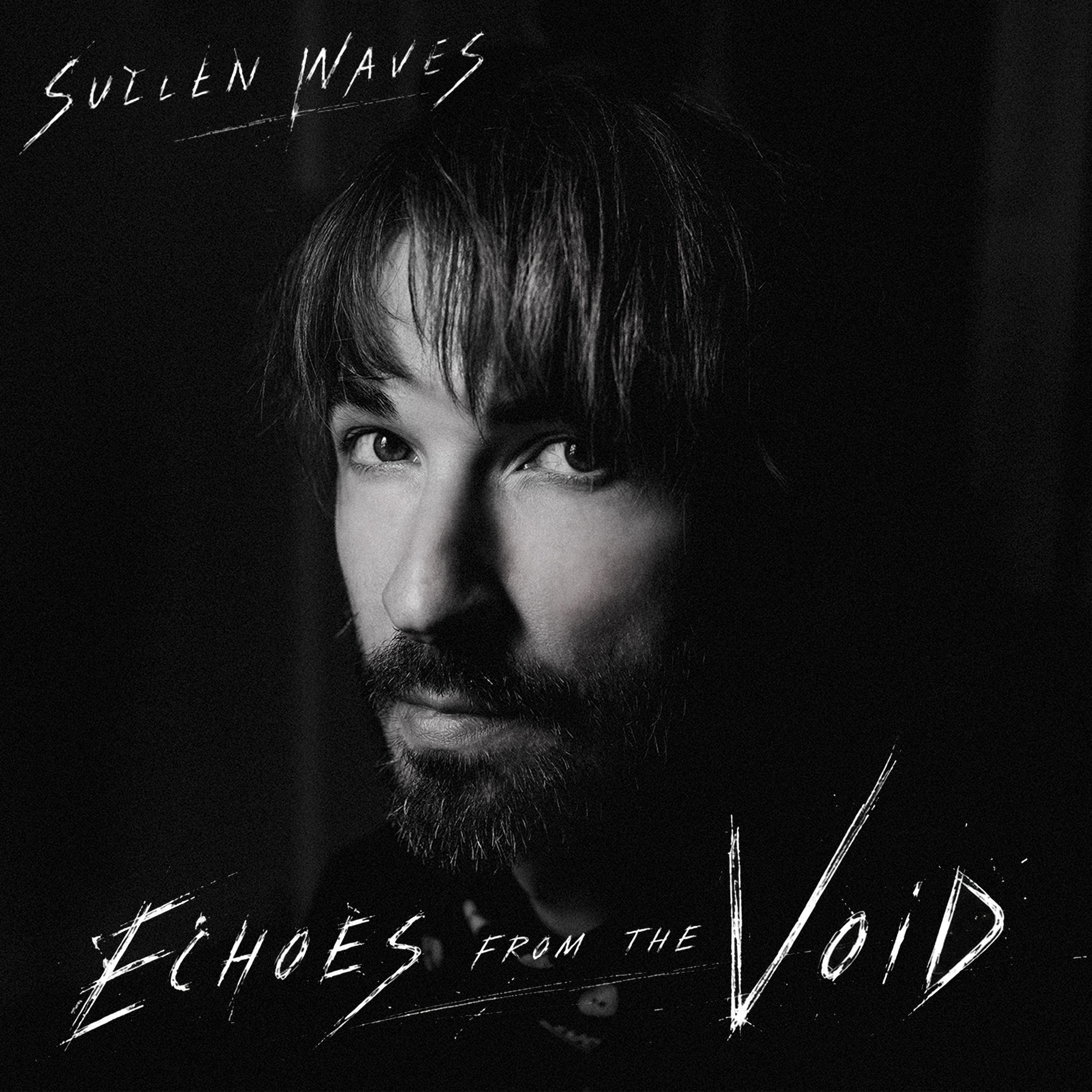 Echoes from the Void cover art