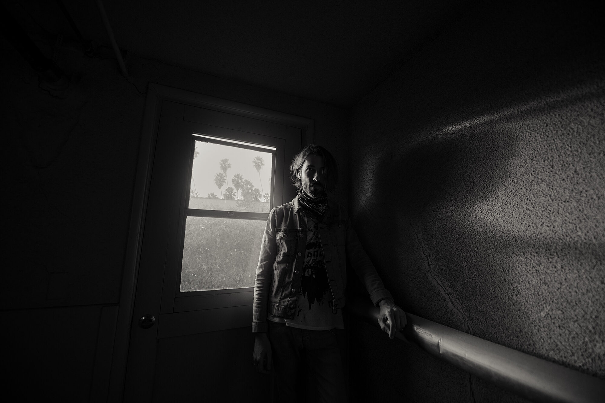 Stairwell, palms, black and white